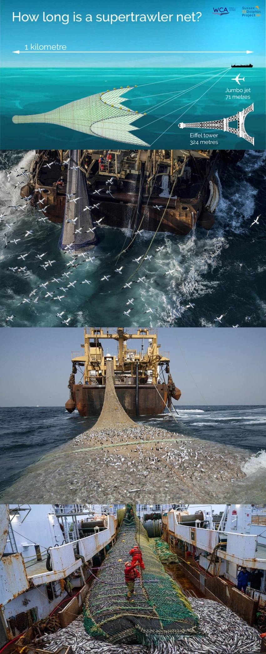 어업에 사용되는 초대형 그물_1.webp