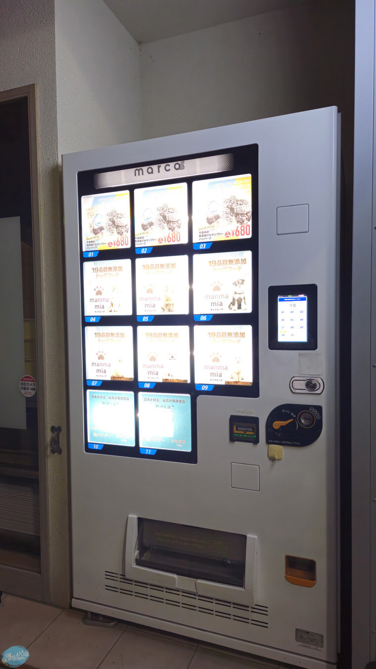 인생 최초로 접근해본 활화산 화구.. 후쿠오카 여행 3일차_9.jpg