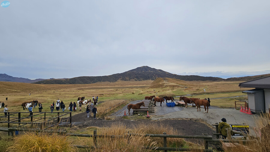 인생 최초로 접근해본 활화산 화구.. 후쿠오카 여행 3일차_119.jpg