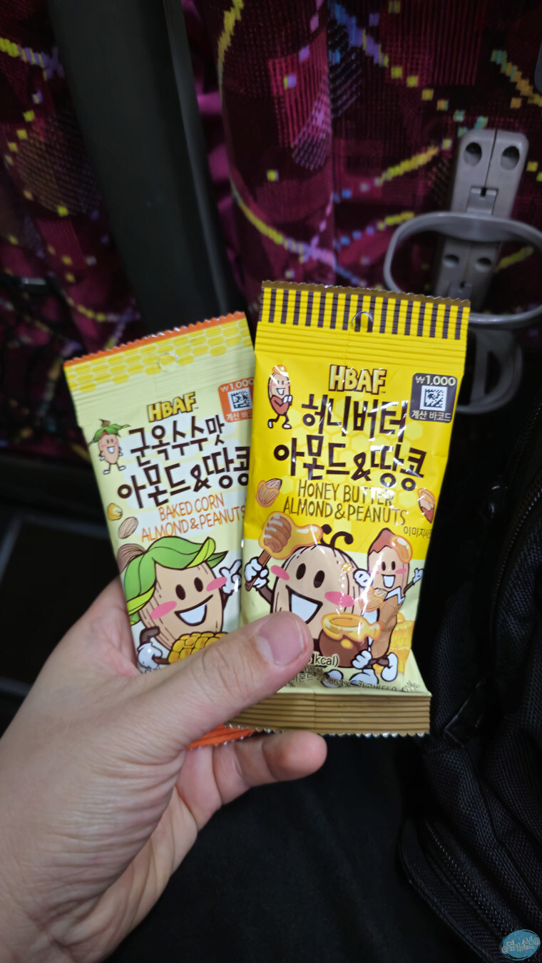 인생 최초로 접근해본 활화산 화구.. 후쿠오카 여행 3일차_139.jpg