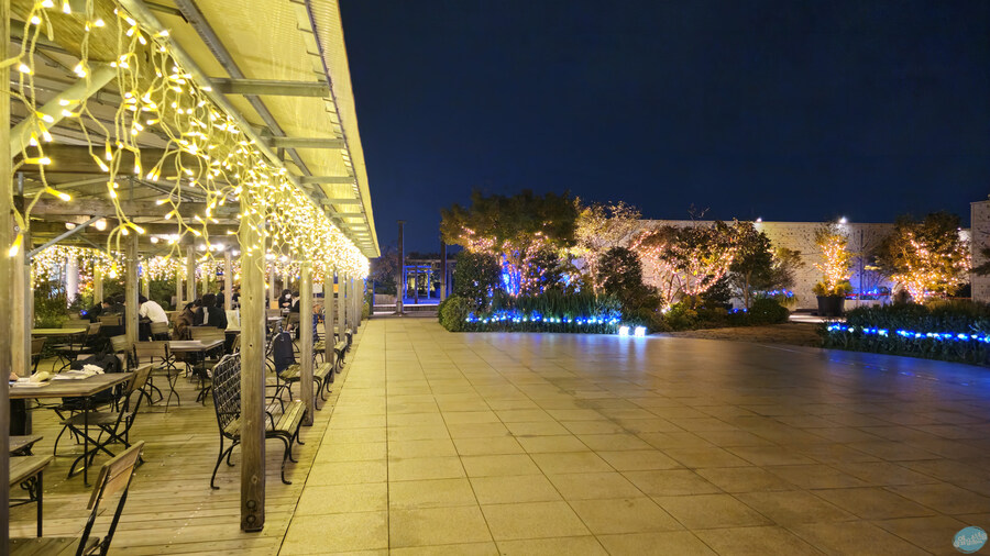 인생 최초로 접근해본 활화산 화구.. 후쿠오카 여행 3일차_144.jpg