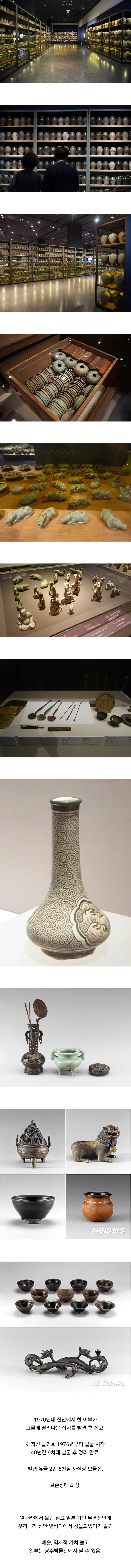 650년만에 바다에서 나왔는데 한국만 신난 상황.jpg_1.webp