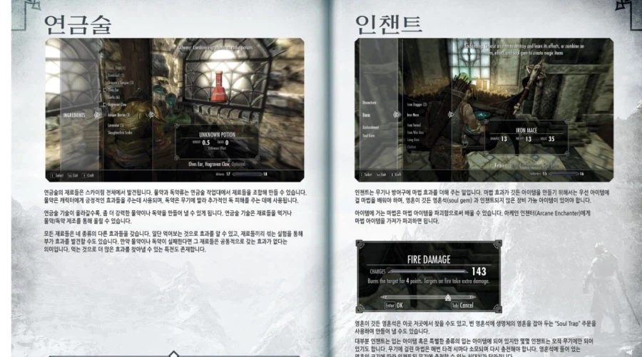 스카이림]진짜 무슨 의도일까??(최근 추가된 공식 한글)_6.webp