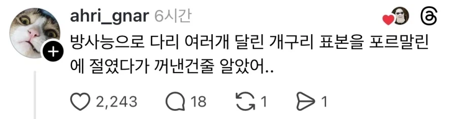 심해에서 건져낸 고대의 사악한 생명체 아님_2.webp