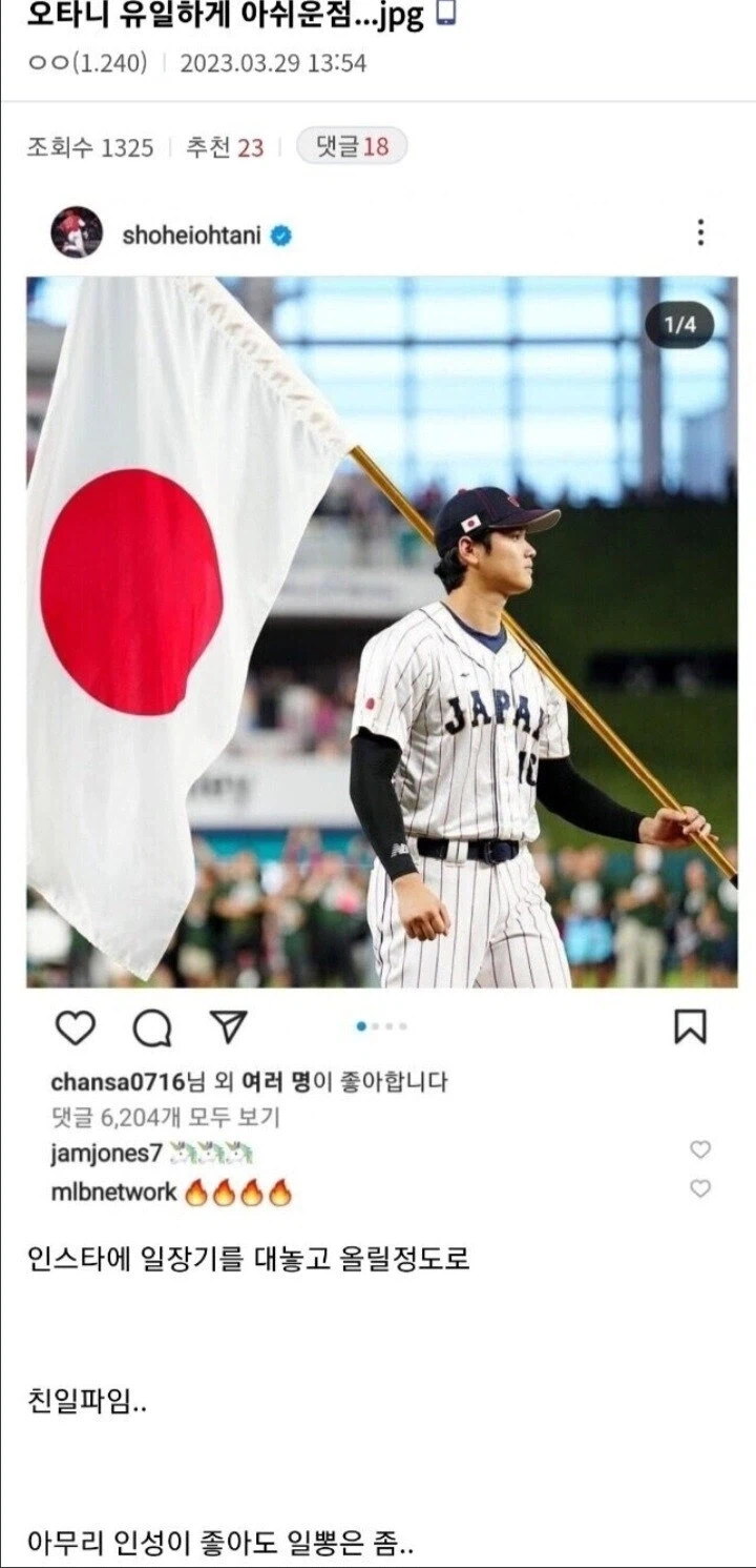 오타니 쇼헤이의 단점.jpg_1.webp