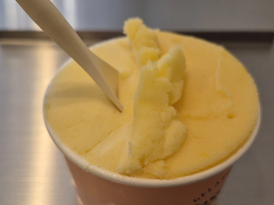 젤라또, 소르베_2.webp