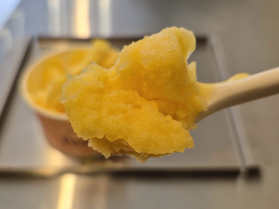 젤라또, 소르베_3.webp