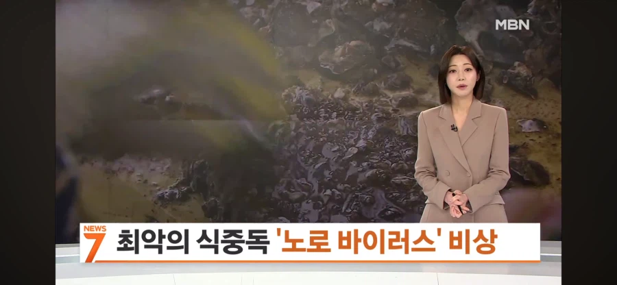 올해 굴 근황.JPG_1.webp