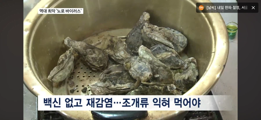 올해 굴 근황.JPG_3.webp