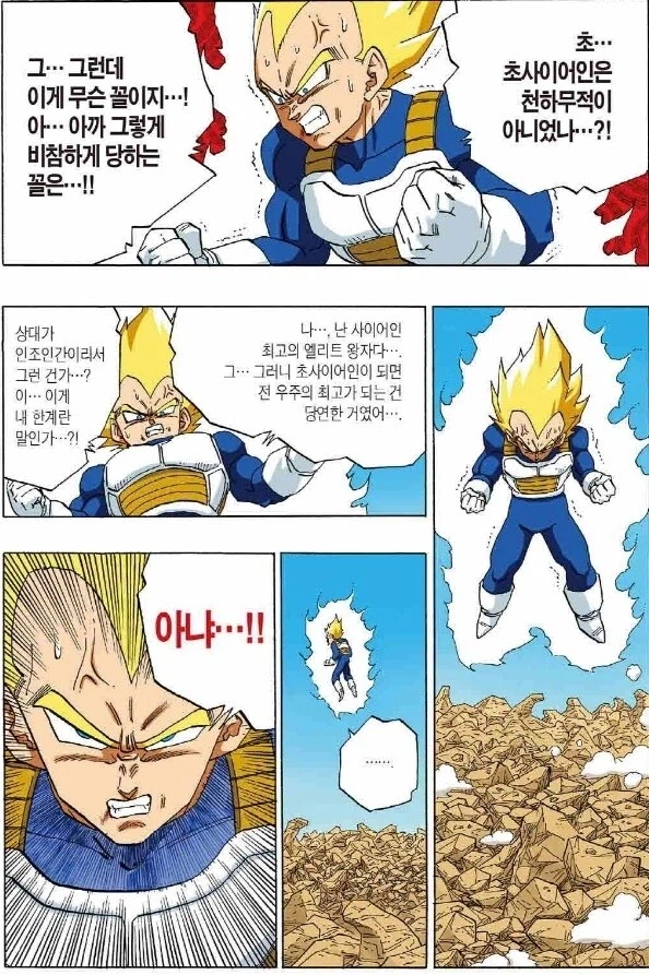 (드래곤볼) 의외로 서양에서는 동기부여로 유명한 베지터_4.webp