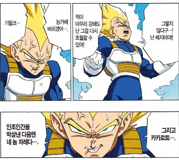 (드래곤볼) 의외로 서양에서는 동기부여로 유명한 베지터_5.webp