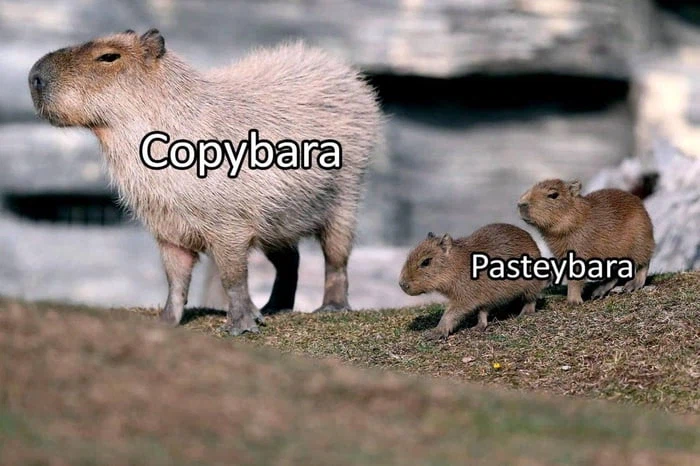 카피바라 새끼를 뭐라고 부르는지 앎?_1.webp