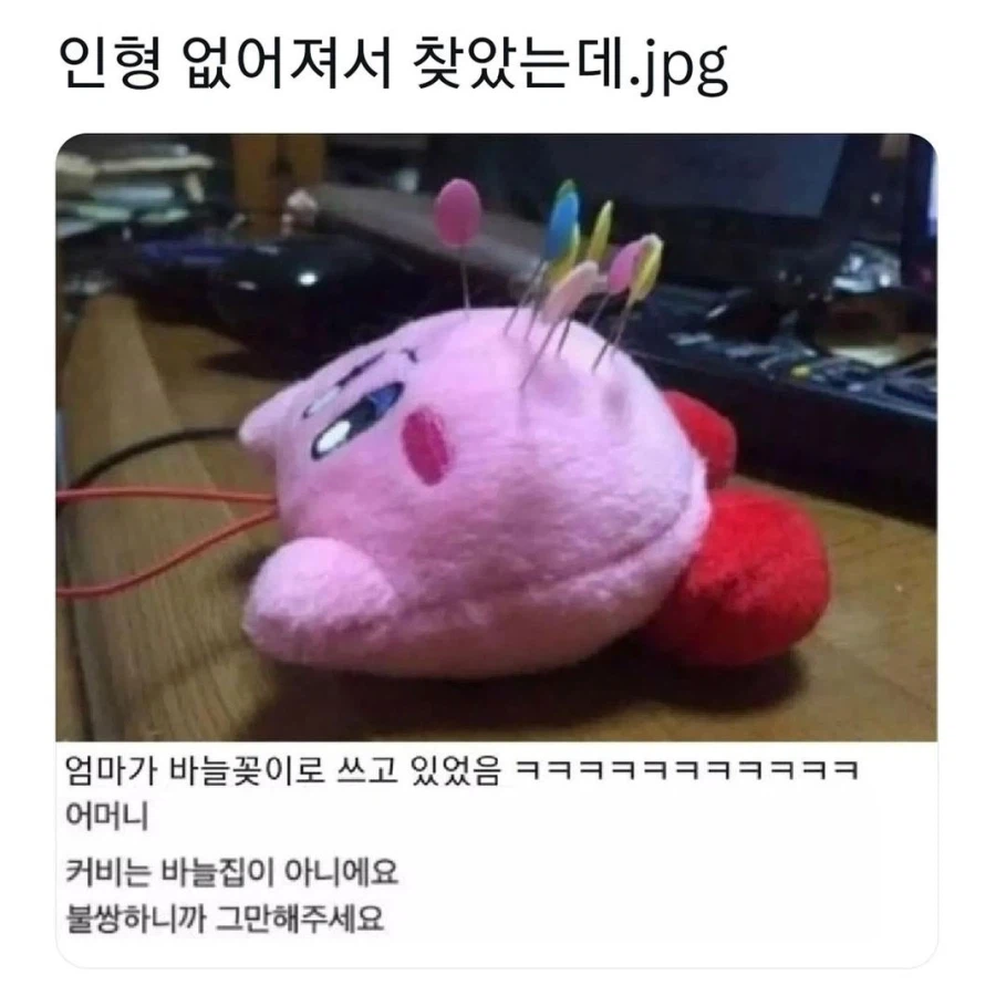 인형이 없어져서 찾았는데.jpg_1.webp