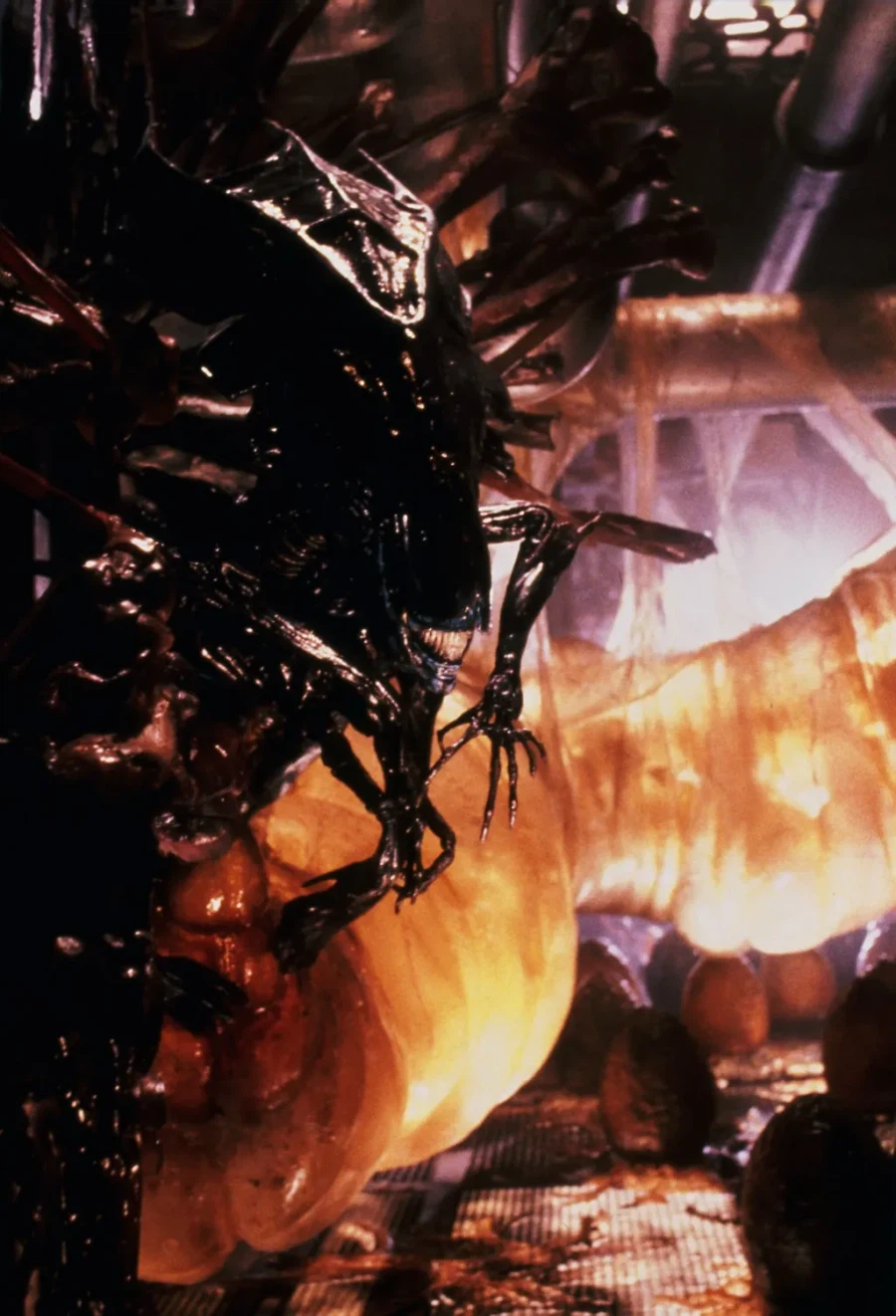 폴아웃)혐) 거대개미 의외의 사실_8.webp