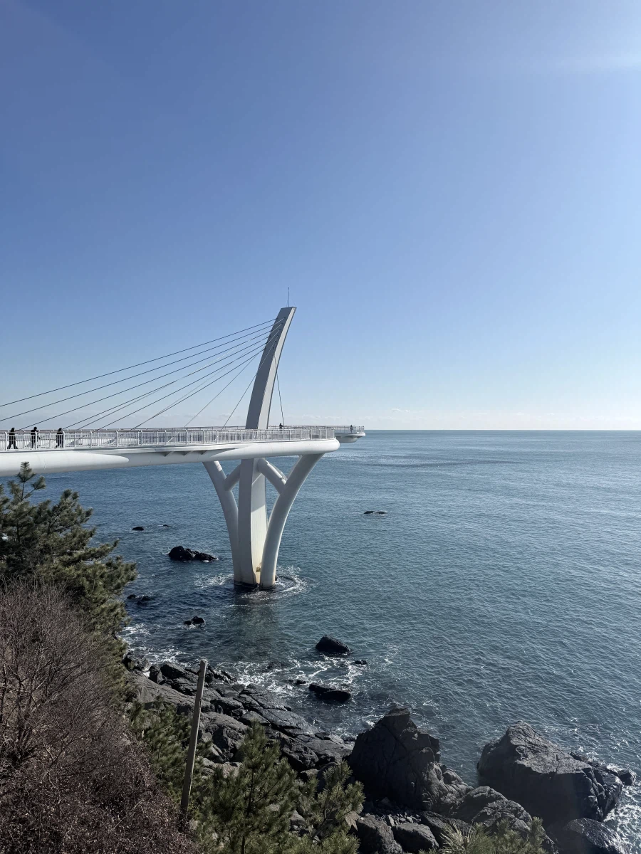 부산 속씨원한 대구탕_8.webp