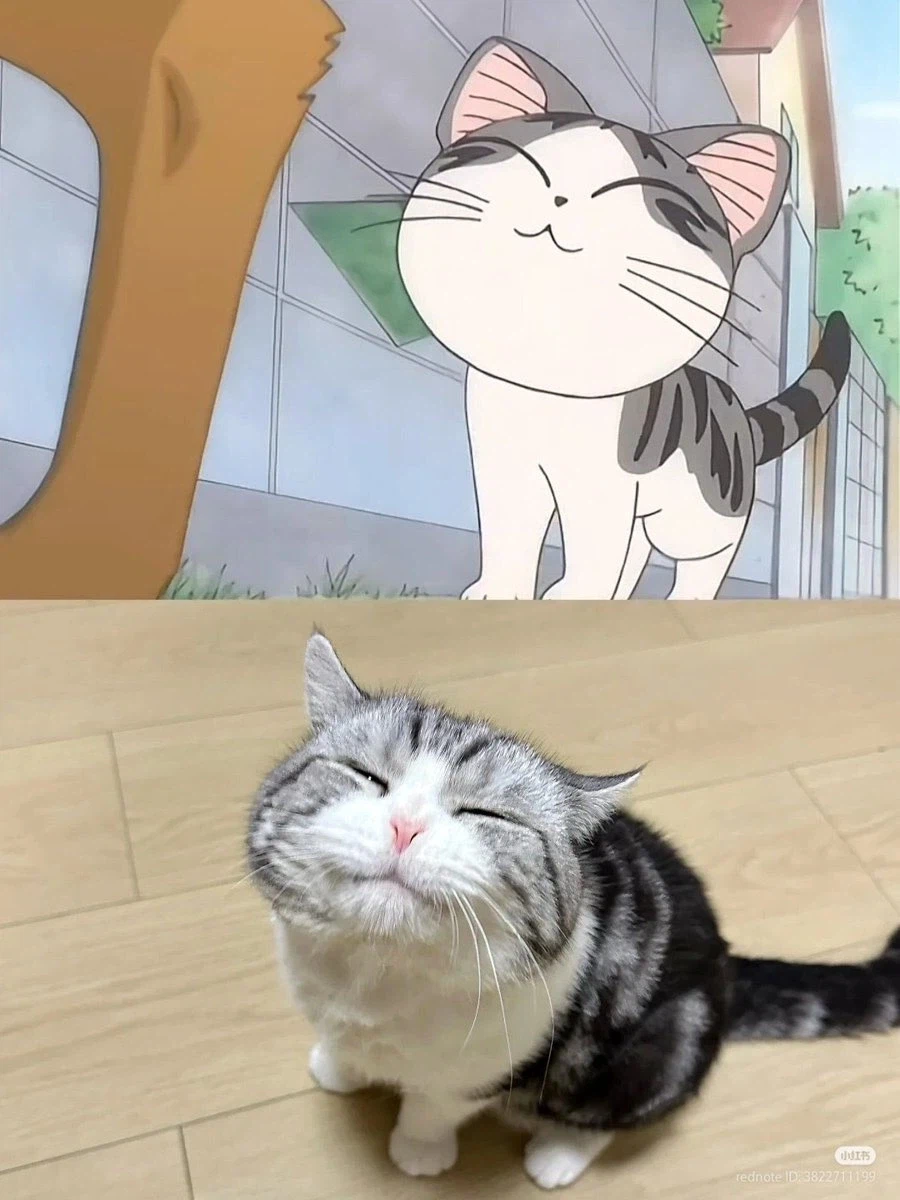 전화해도 되냐..._5.webp