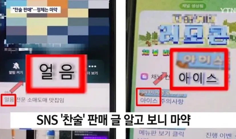 "찬술 팔아요" SNS글, ㅁㅇ밀매 은어였다_9.webp