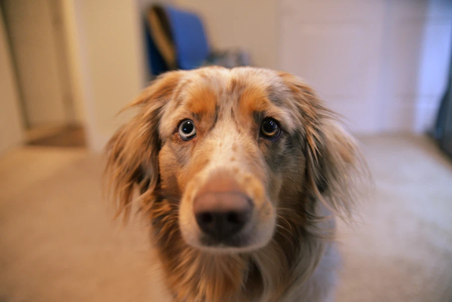 새해 맞이 장식장 정리_19.webp