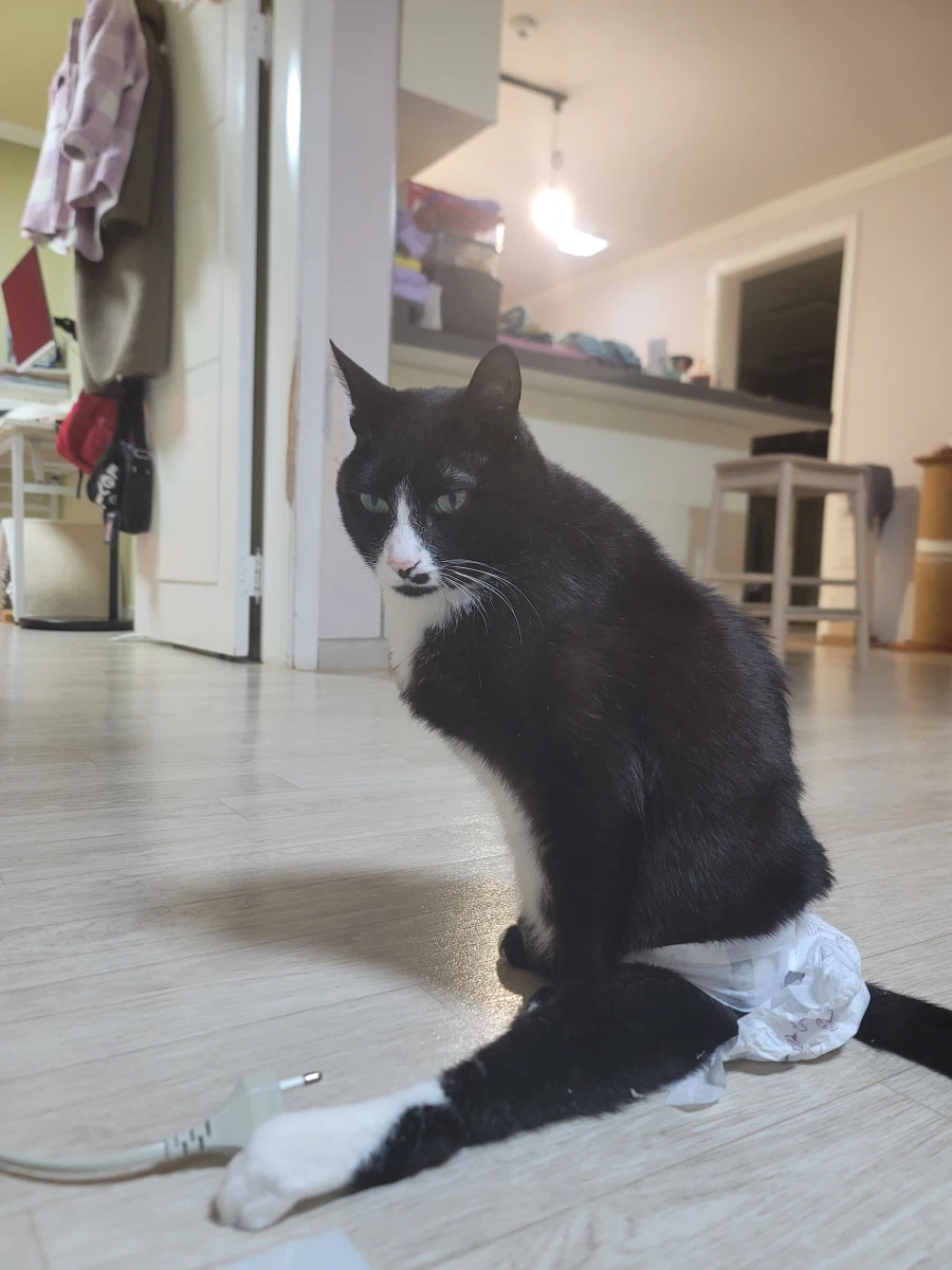 집에서 진료 받기_1.webp