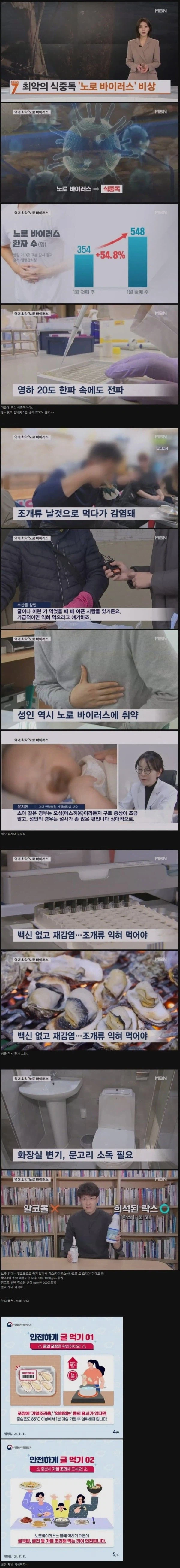 노로 바이러스 근황.jpg_1.webp