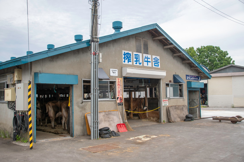 120년이 넘은 목장에서 마시는 우유 한 잔_6.jpg