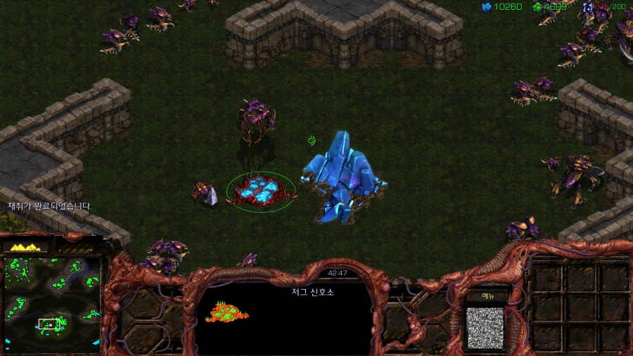 스타1) 저그 아홉번째 미션 특_17.webp