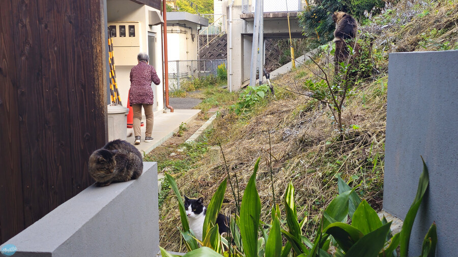 어디서 가본듯한 그 장소들?.. 후쿠오카 4~5일차 (完)_130.jpg