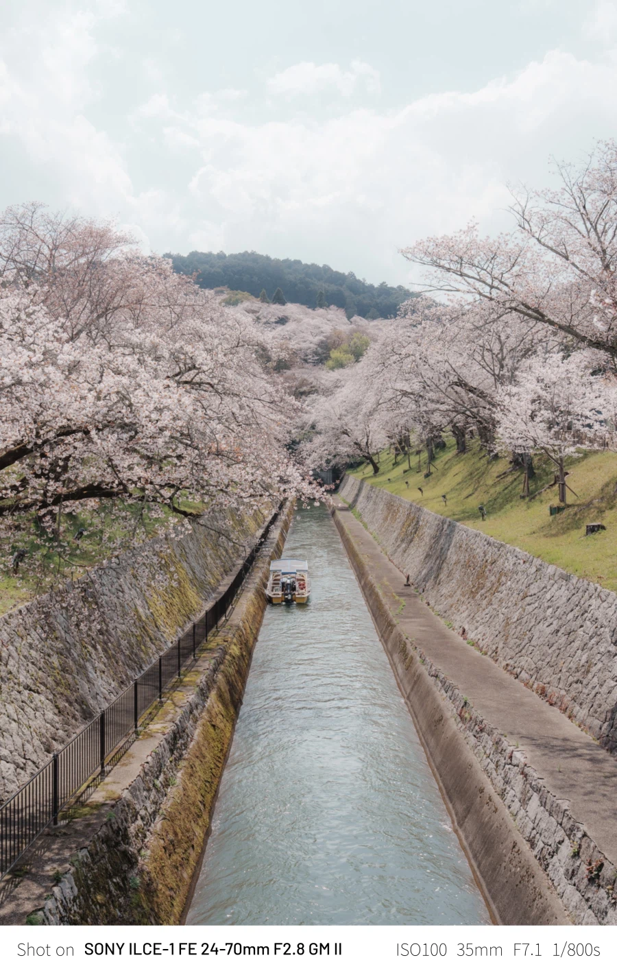SEL2470GM2 | 24mm에서 70mm까지, 계륵 화각의 매력 - 여행_5.webp