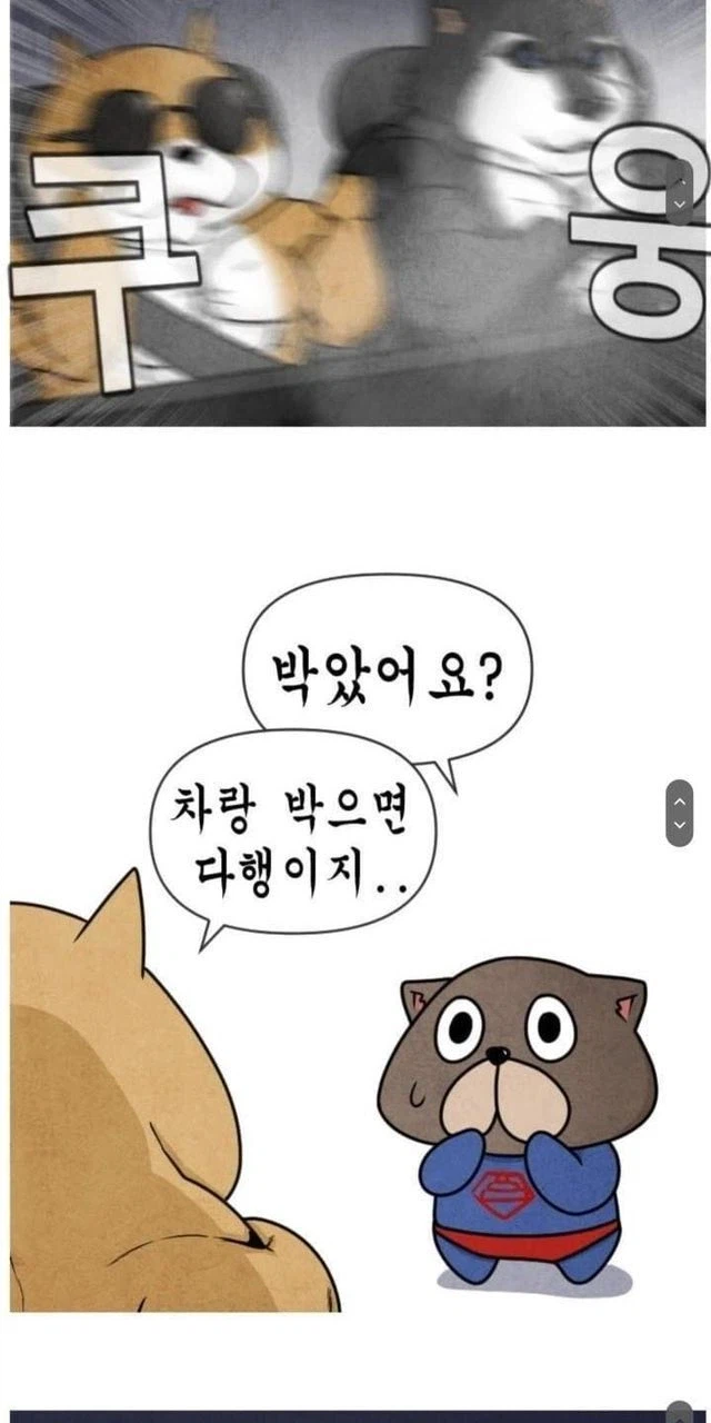 안전벨트는 위험하다_4.webp