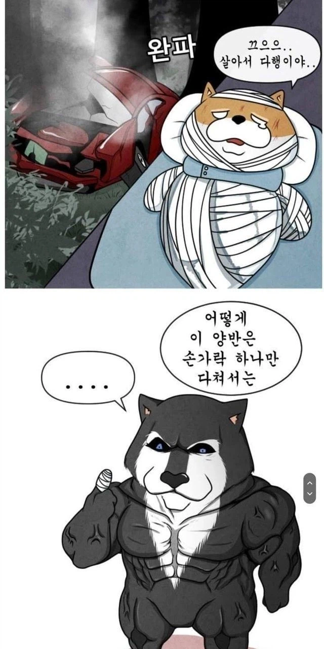 안전벨트는 위험하다_6.webp