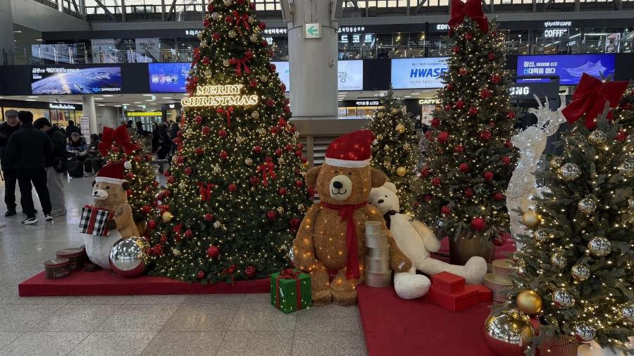 쿠마린과 함께 떠난 서울 밤샘 먹부림 여행._4.webp