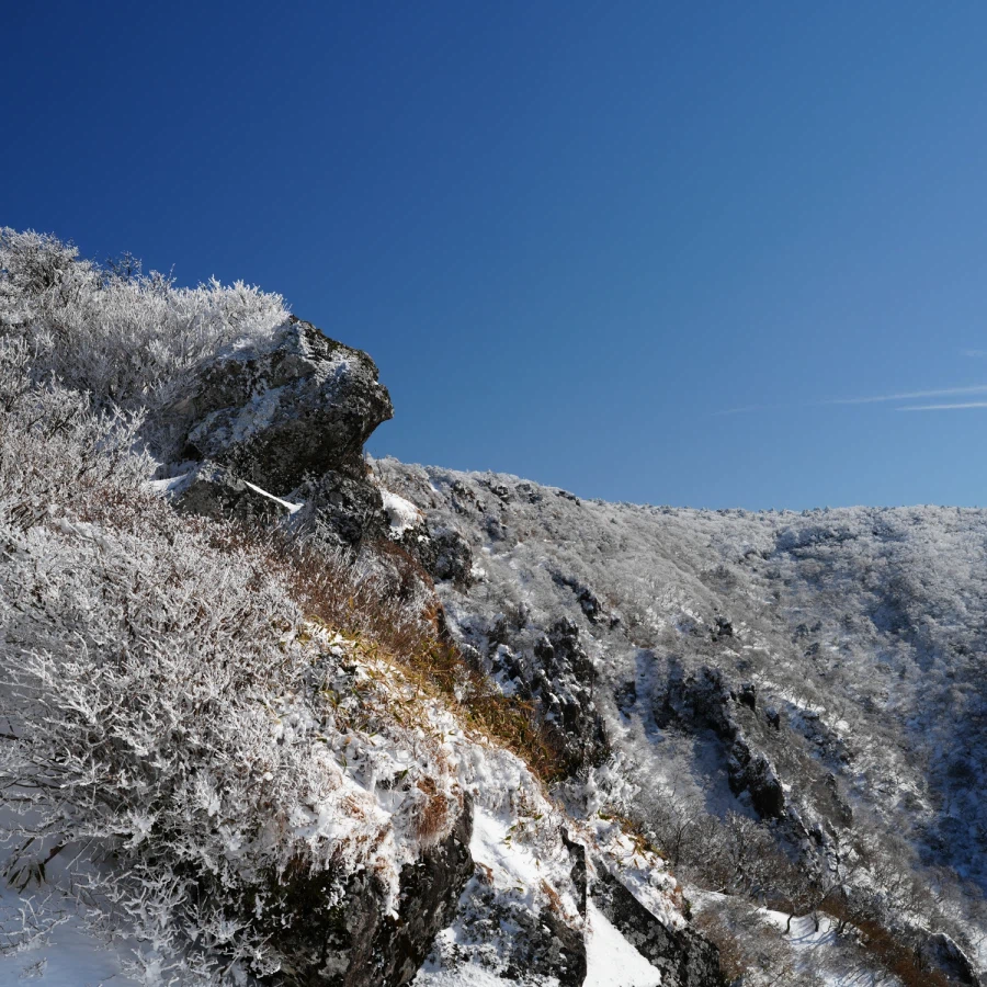 제주 윗세오름의 겨울_5.webp