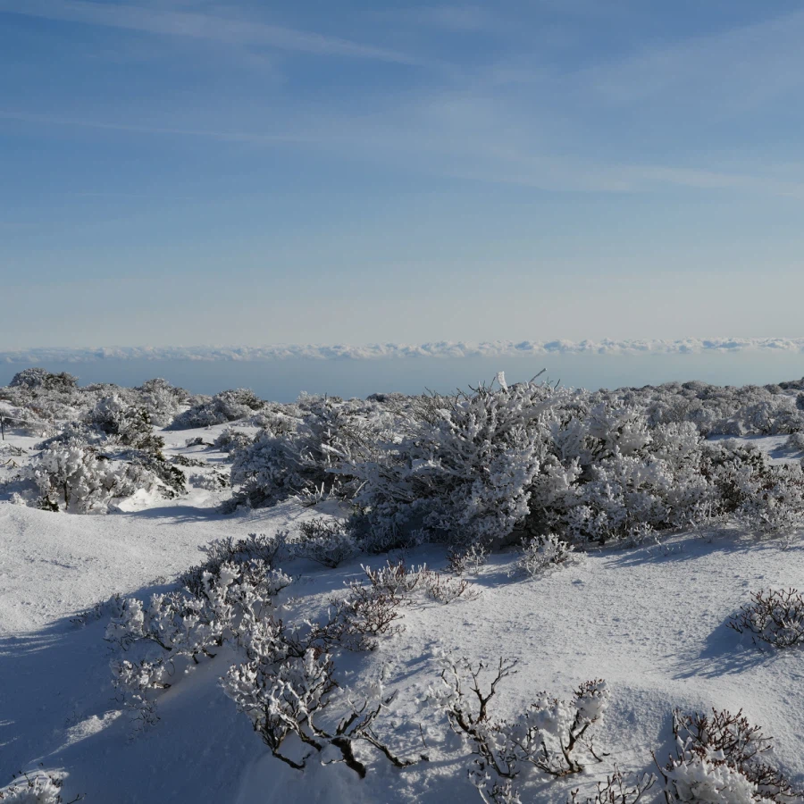 제주 윗세오름의 겨울_11.webp