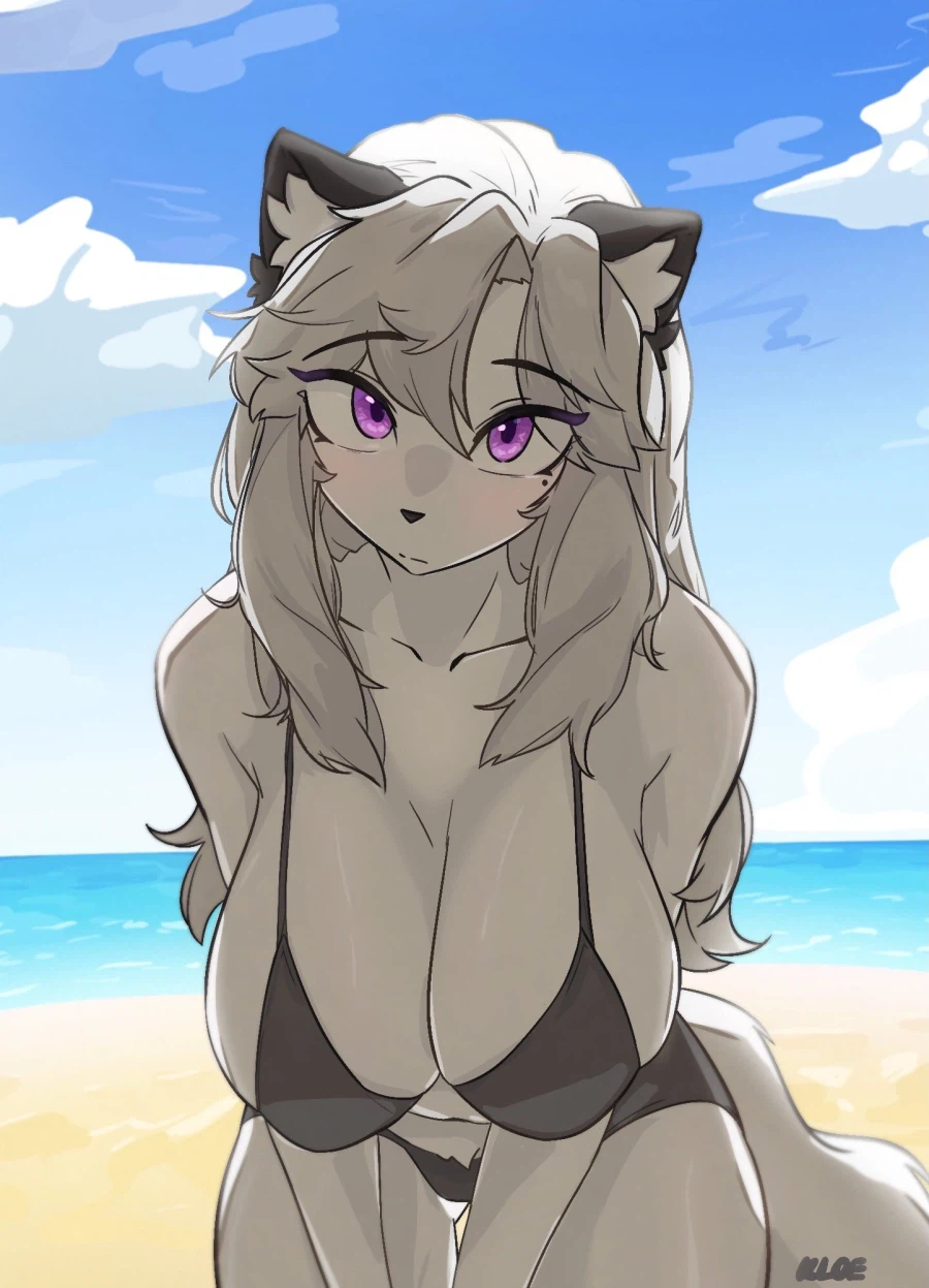 컴퓨터에 있던 퍼리짤_9.webp