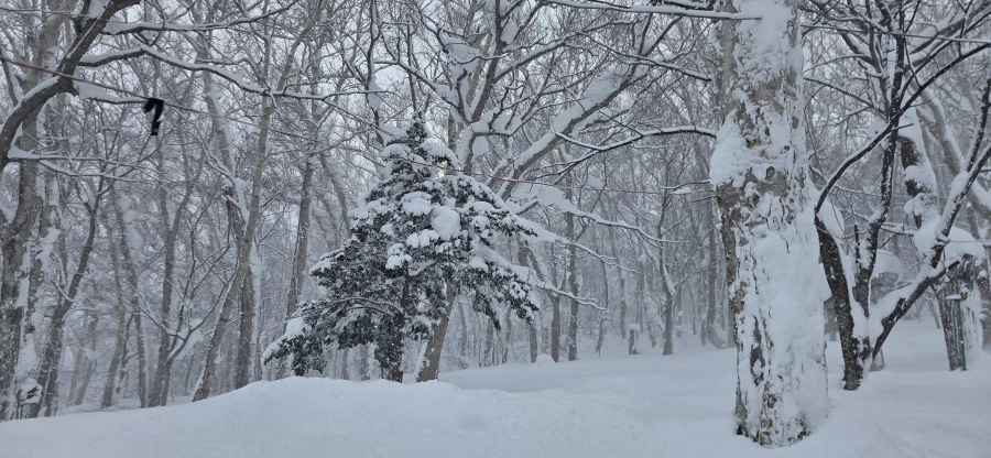 다른 눈이 보고 싶었던 오타루 여행기_21.webp