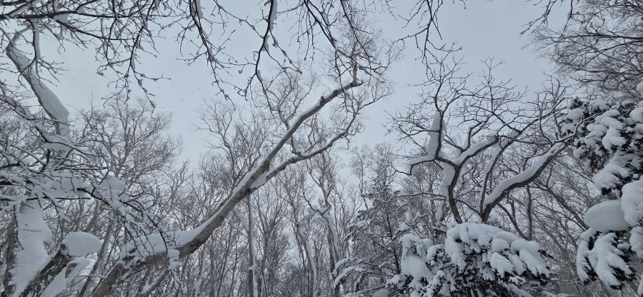 다른 눈이 보고 싶었던 오타루 여행기_24.webp