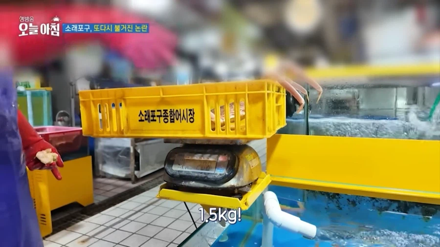 MBC 제작진에게 사기치는 소래포구 근황 ㅋ_1.webp