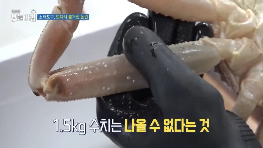 MBC 제작진에게 사기치는 소래포구 근황 ㅋ_10.webp