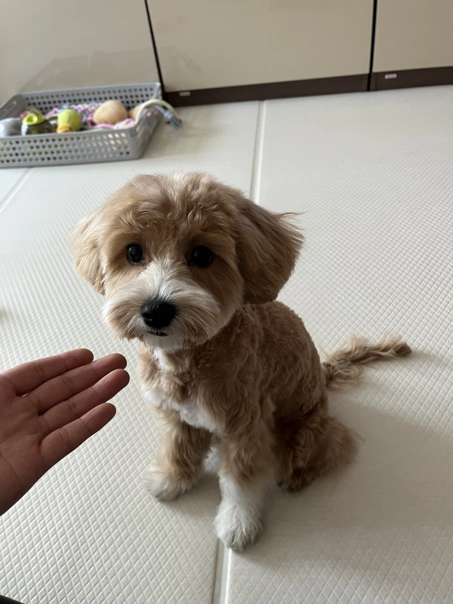 간만에 본가 가서 만나고 온_4.webp