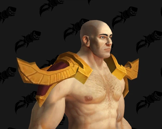 와우 2월 교역소 미공개 아이템 및 2주년 월간 보상 모음_13.webp