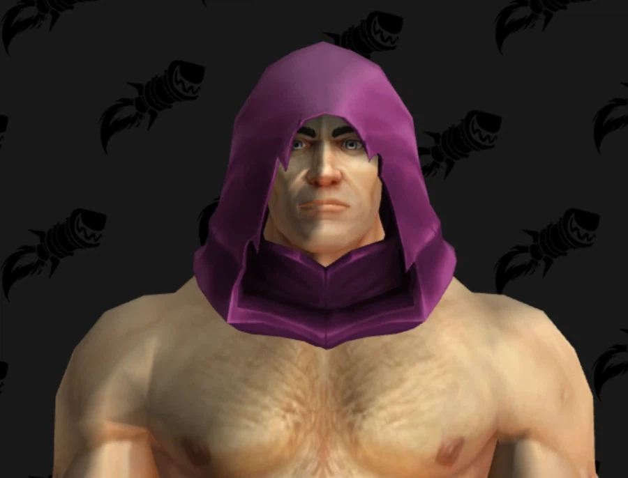 와우 2월 교역소 미공개 아이템 및 2주년 월간 보상 모음_15.webp