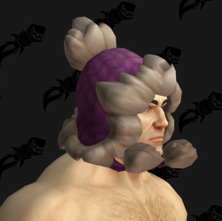 와우 2월 교역소 미공개 아이템 및 2주년 월간 보상 모음_17.webp