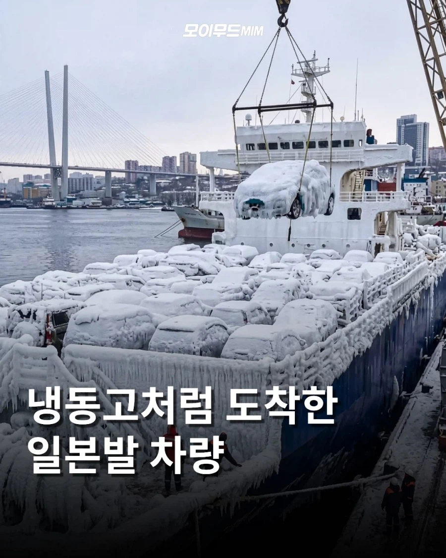 냉동고처럼 도착한 일본발 차량들.._1.webp