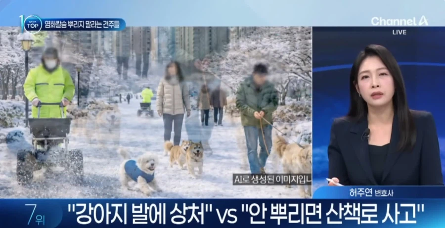 눈 와도 염화칼슘 뿌리지 말라는 사람들_5.webp