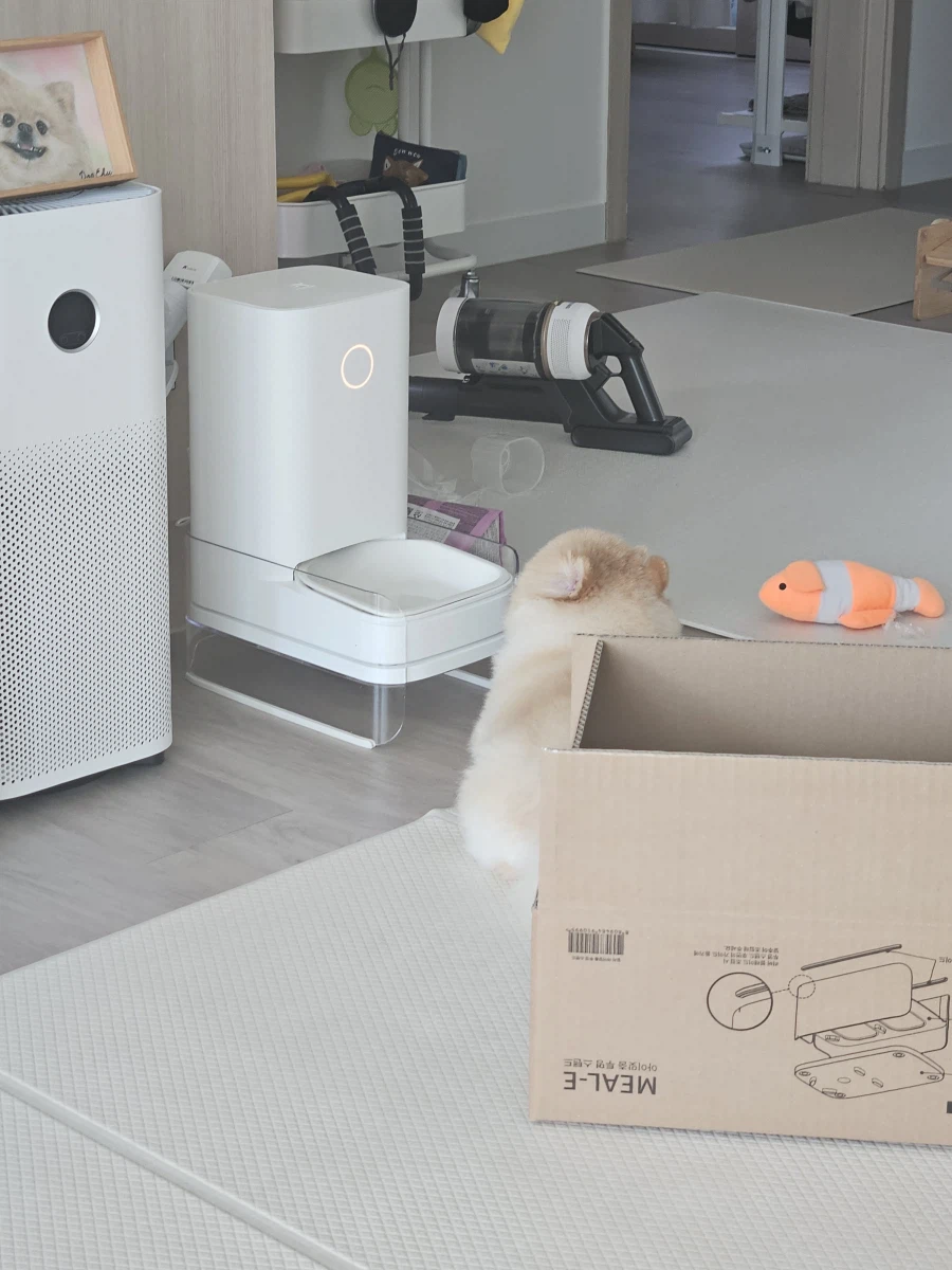 자동 밥그릇을 처음 경험하는 우리집 개_1.webp