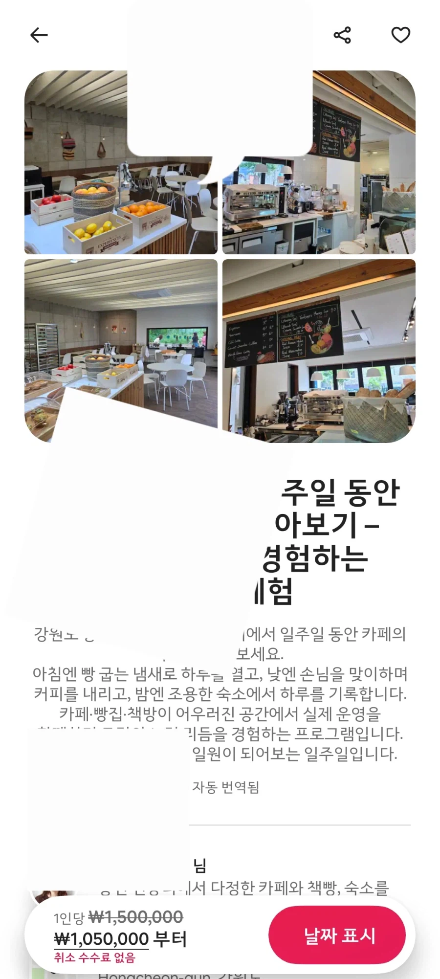 홍천 1주일 카페 사장 체험_1.webp