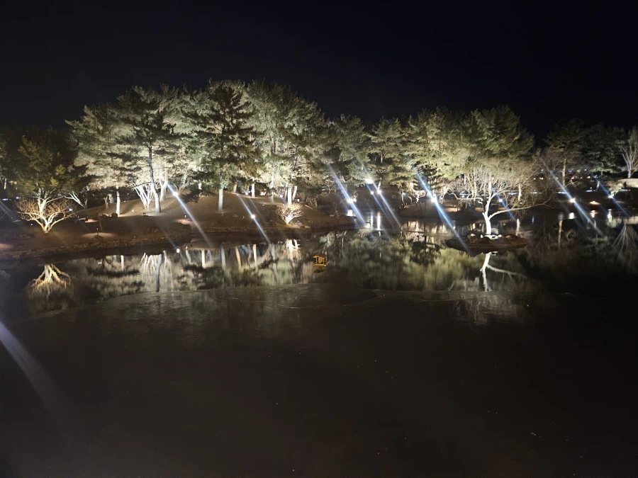 경주여행 후기_31.webp