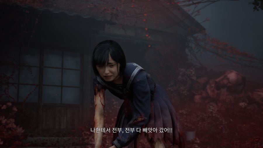 사일런트 힐 f_28.png