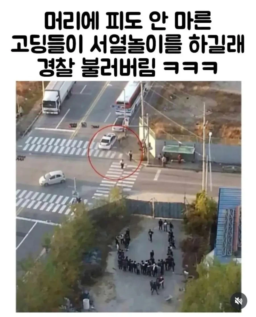 일진 고딩들 서열놀이 신고 후기 ㅋㅋ_1.webp