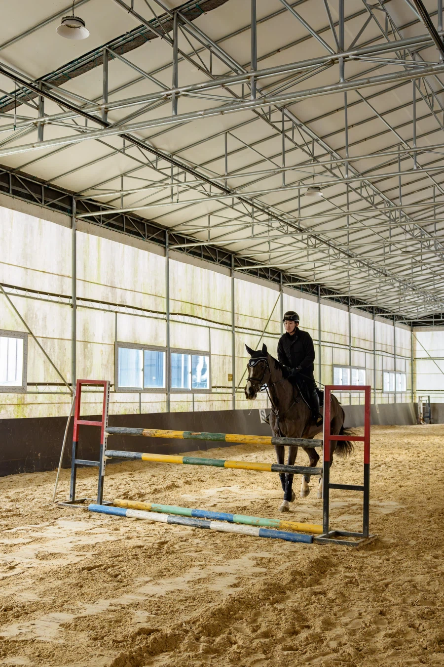 SEL2470GM2 | 말과 기수를 찍으며 확인한 '신뢰의 AF'_4.webp